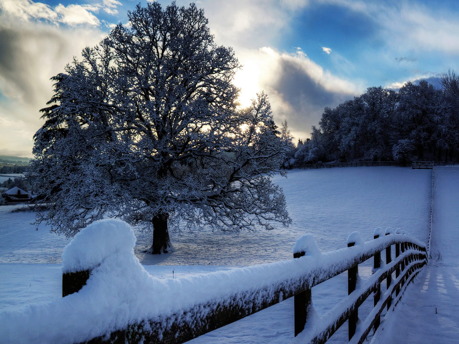 Winter Snow wallpaper