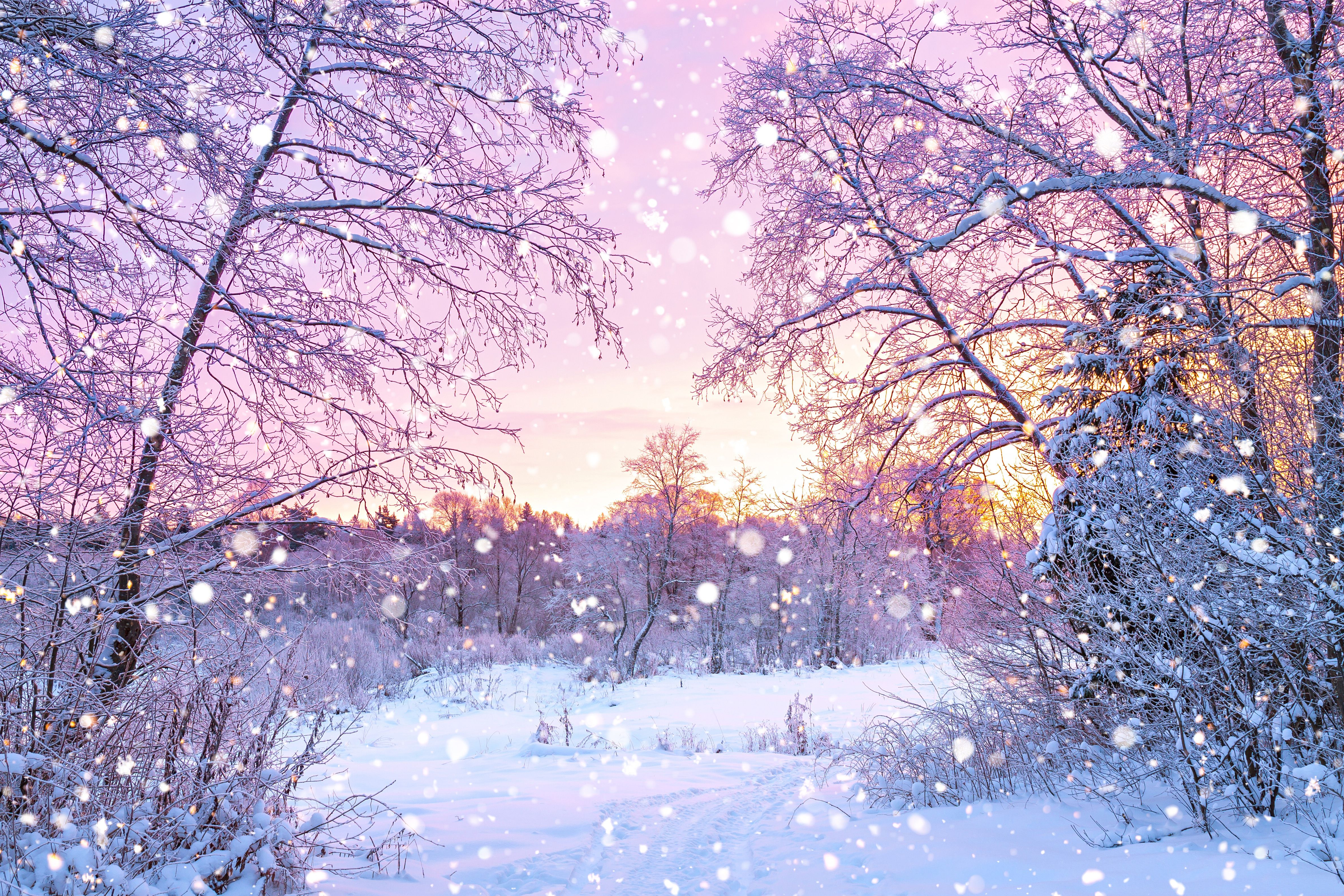 Morning Beautiful Winter Wallpaper