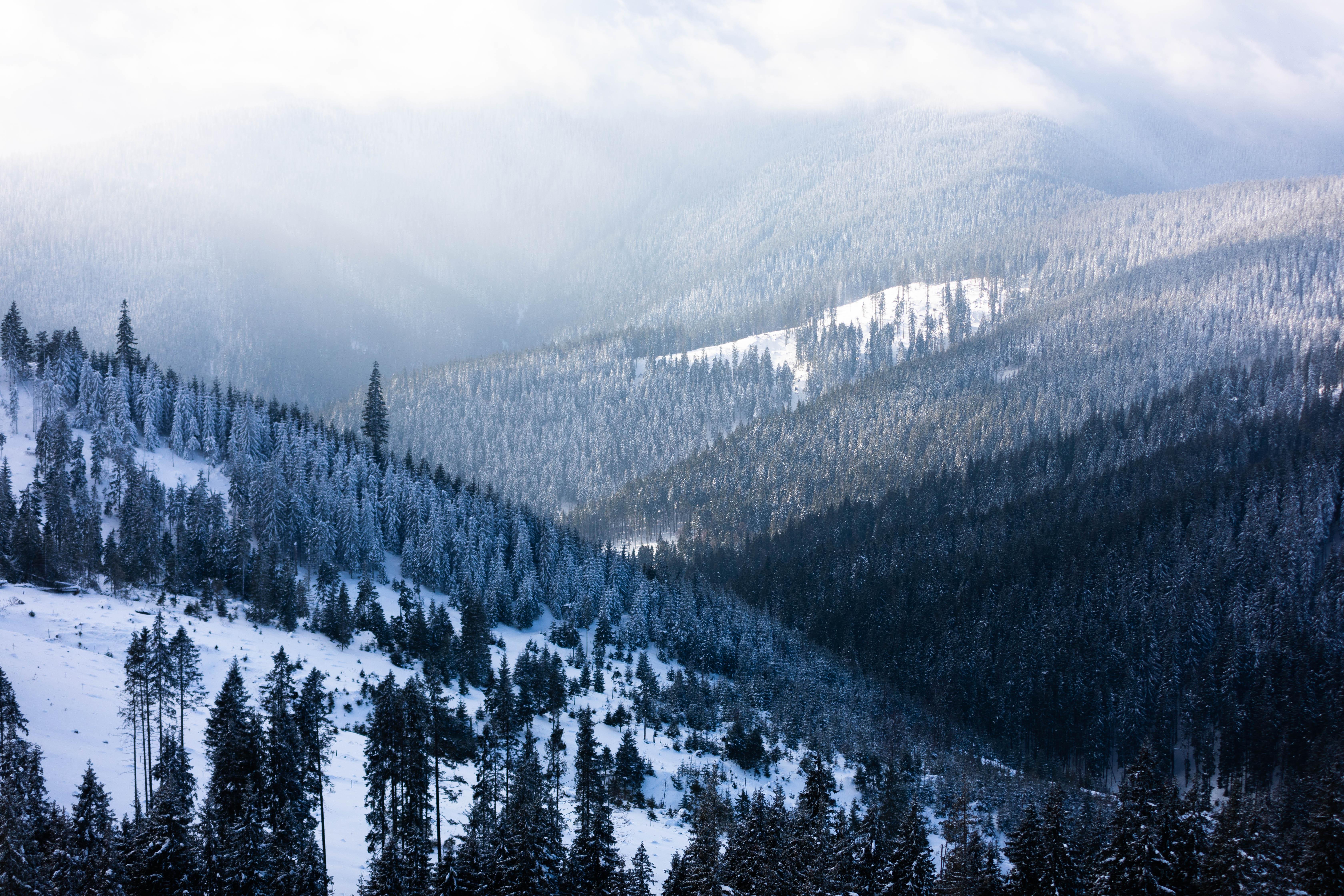 A romanian valley in winter