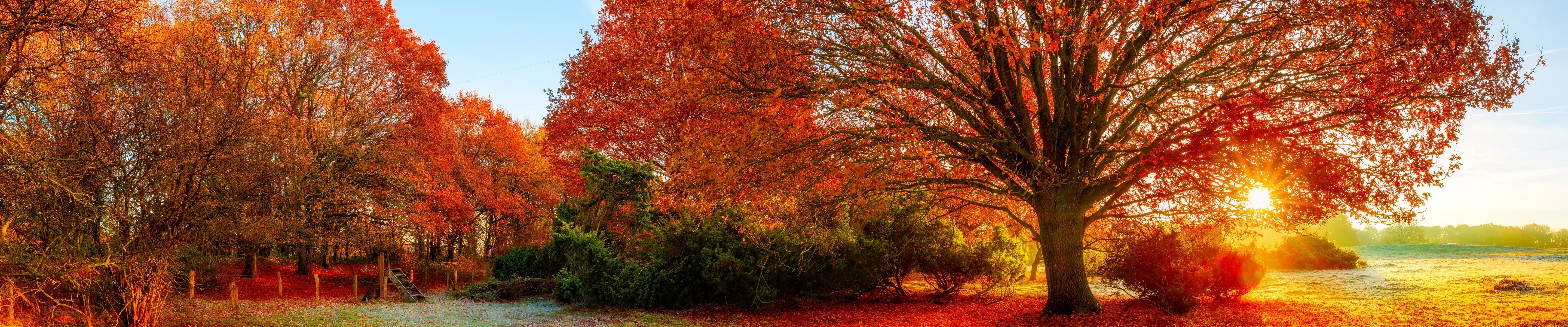 Triple Monitor Wallpaper