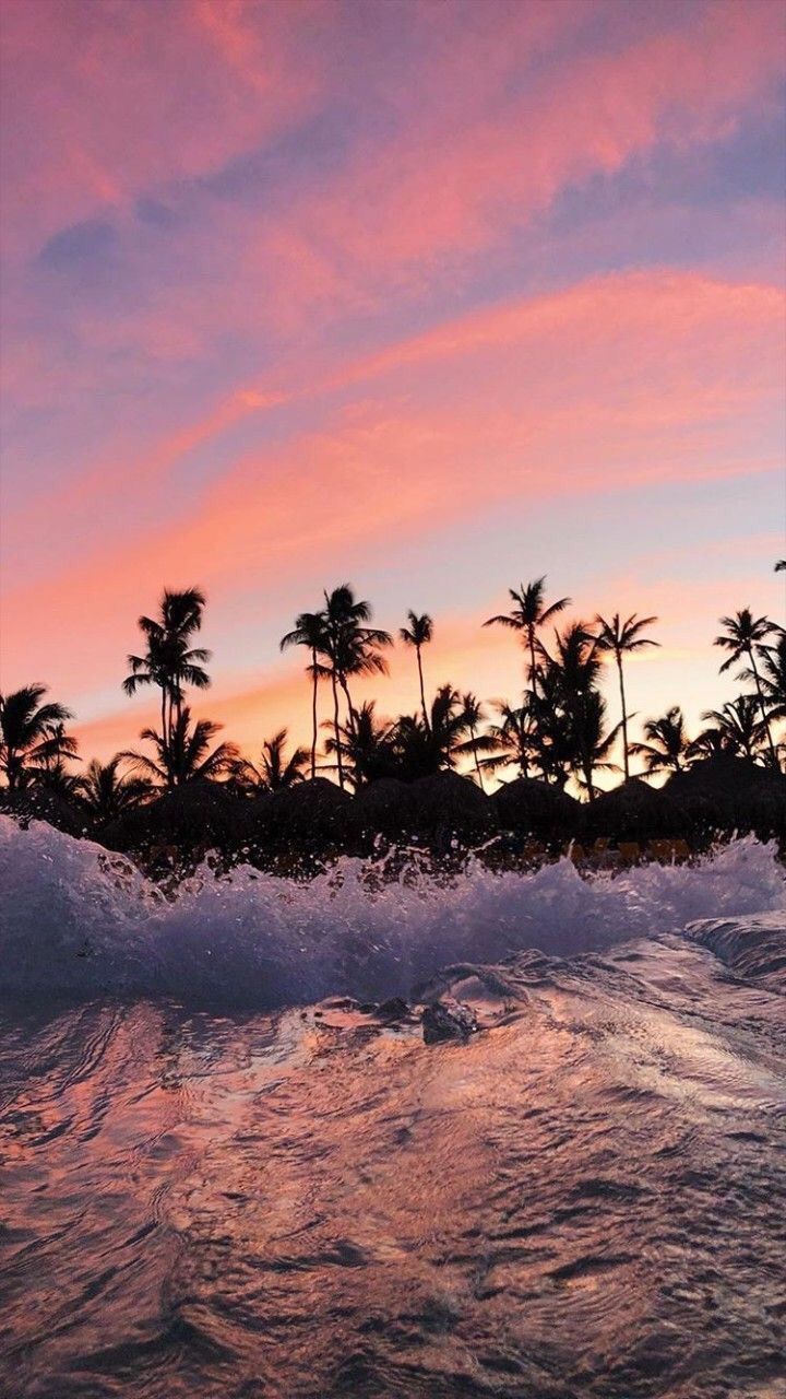 palma, summer vibes, wallpaper and sunset