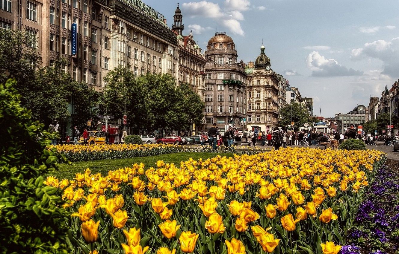 Wallpaper street, building, spring, The city, tulips, architecture, street, tulips, spring, architecture, town image for desktop, section город