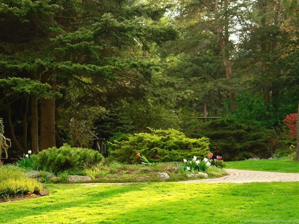 Lovely Spring Wallpapers - Wallpaper Cave