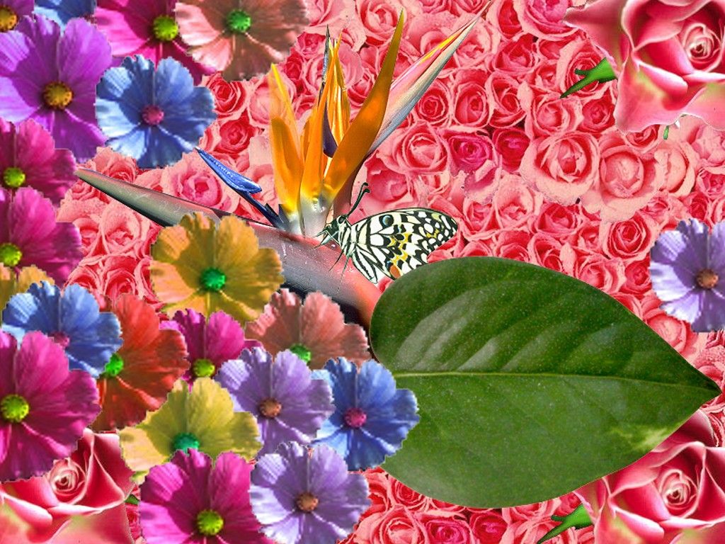Beautiful Bahar Spring Season Hd Free Wallpaper Best