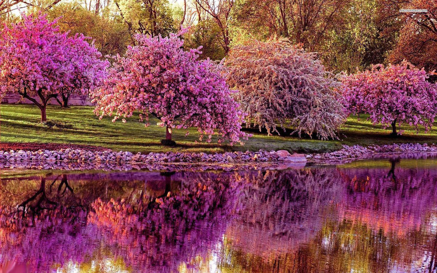 Large Spring Computer Wallpaper