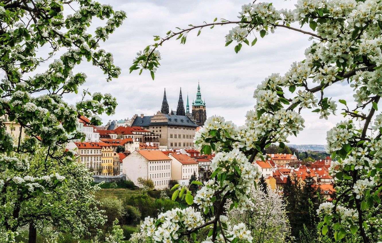 Prague Spring Wallpaper Free Prague Spring Background