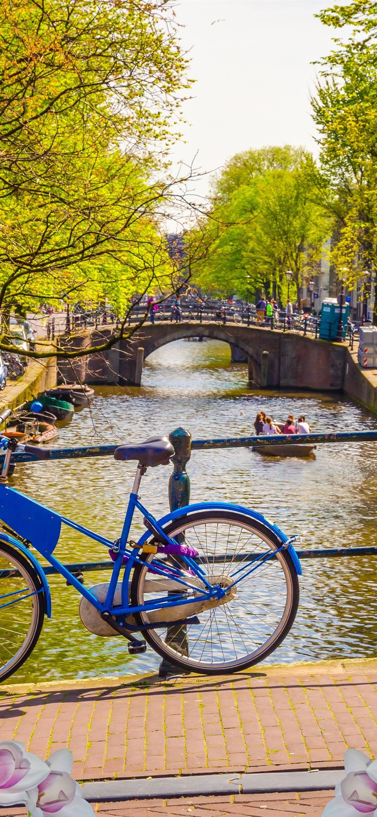 Netherlands, Amsterdam, Flowers, Bridge, Bike, City, River, Spring 1242x2688 IPhone 11 Pro XS Max Wallpaper, Background, Picture, Image