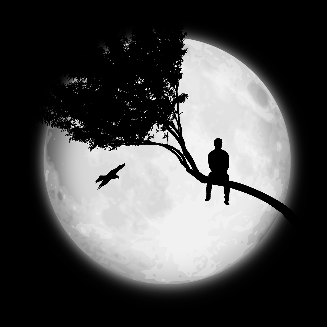 Imagen gratis en Pixabay Hombre Árbol Solo. Moon photography Moon art Night sky photo