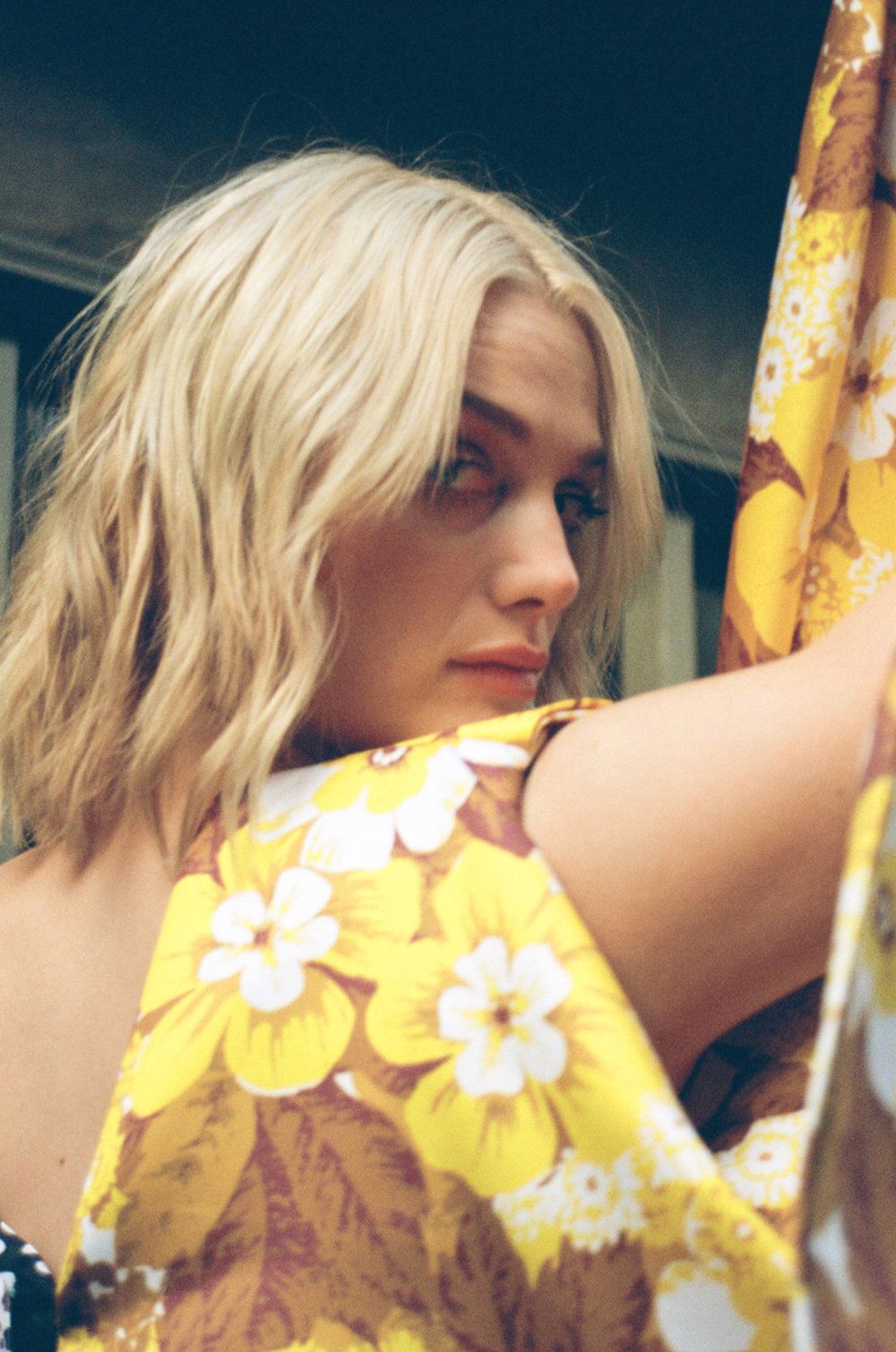 picture Alison Sudol