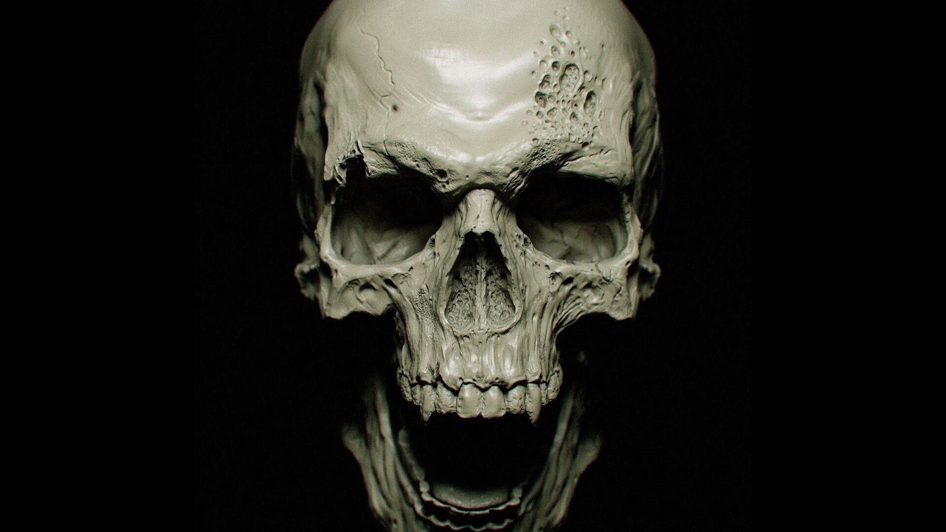 Human Skull Looking Down HD Wallpaper