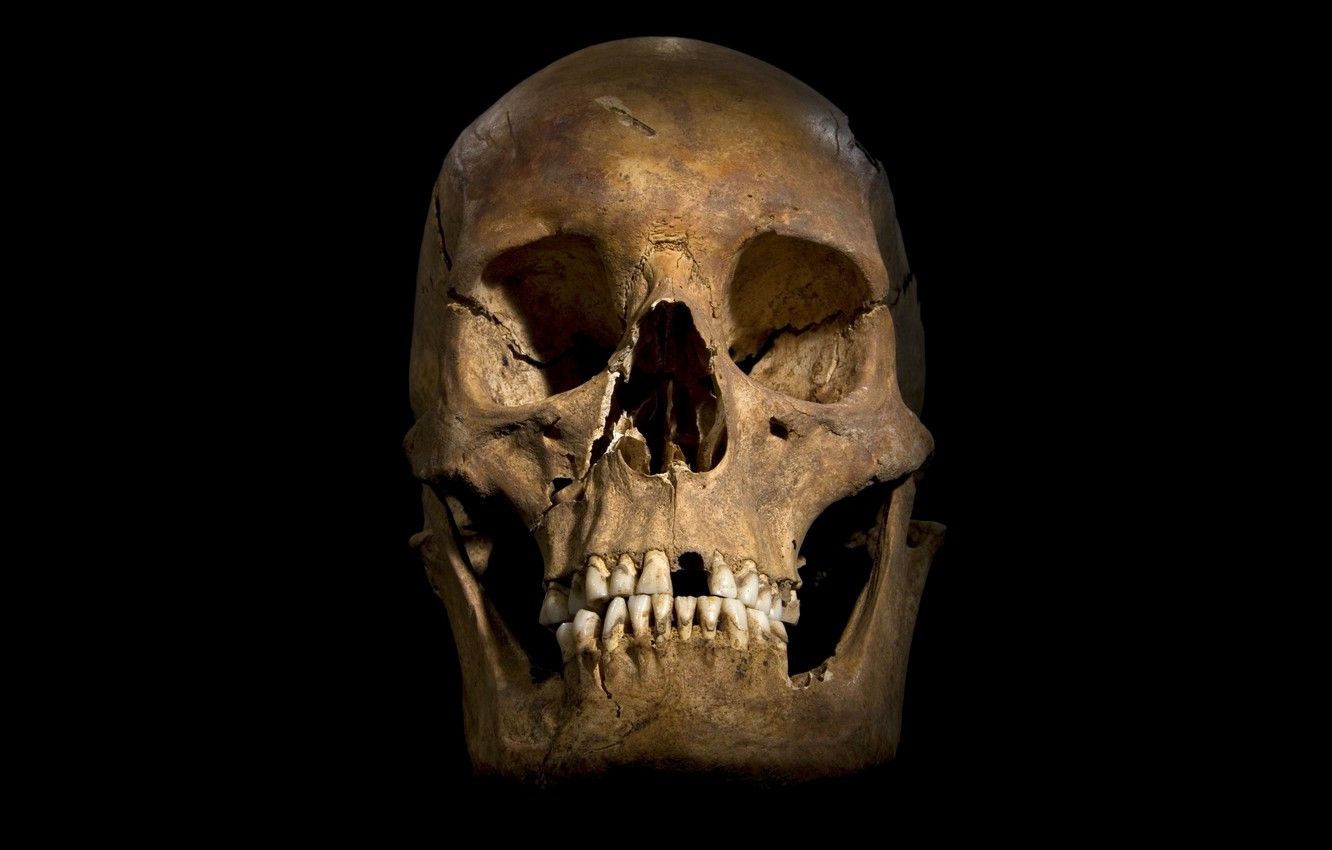 Wallpaper sake, yellow, bones, human skull image for desktop, section минимализм