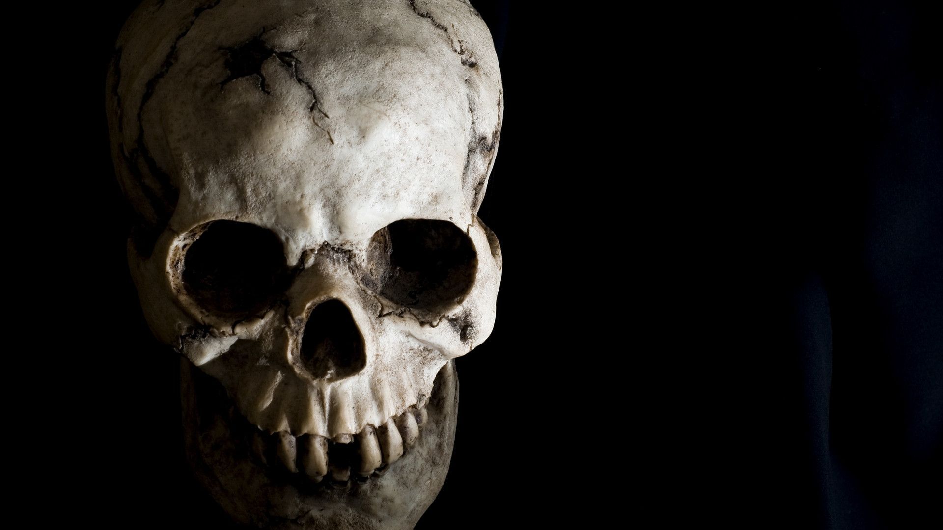 Spectacular Wallpaper (1080p unmarked). Skull, Human skull, Human bones