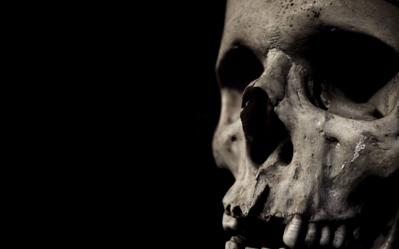 Free download Download Artistic Skulls wallpaper skull close up [1680x1050] for your Desktop, Mobile & Tablet. Explore Wallpaper Skull. HD Skull Wallpaper, Free Skull Wallpaper, Skull Wallpaper For Desktop
