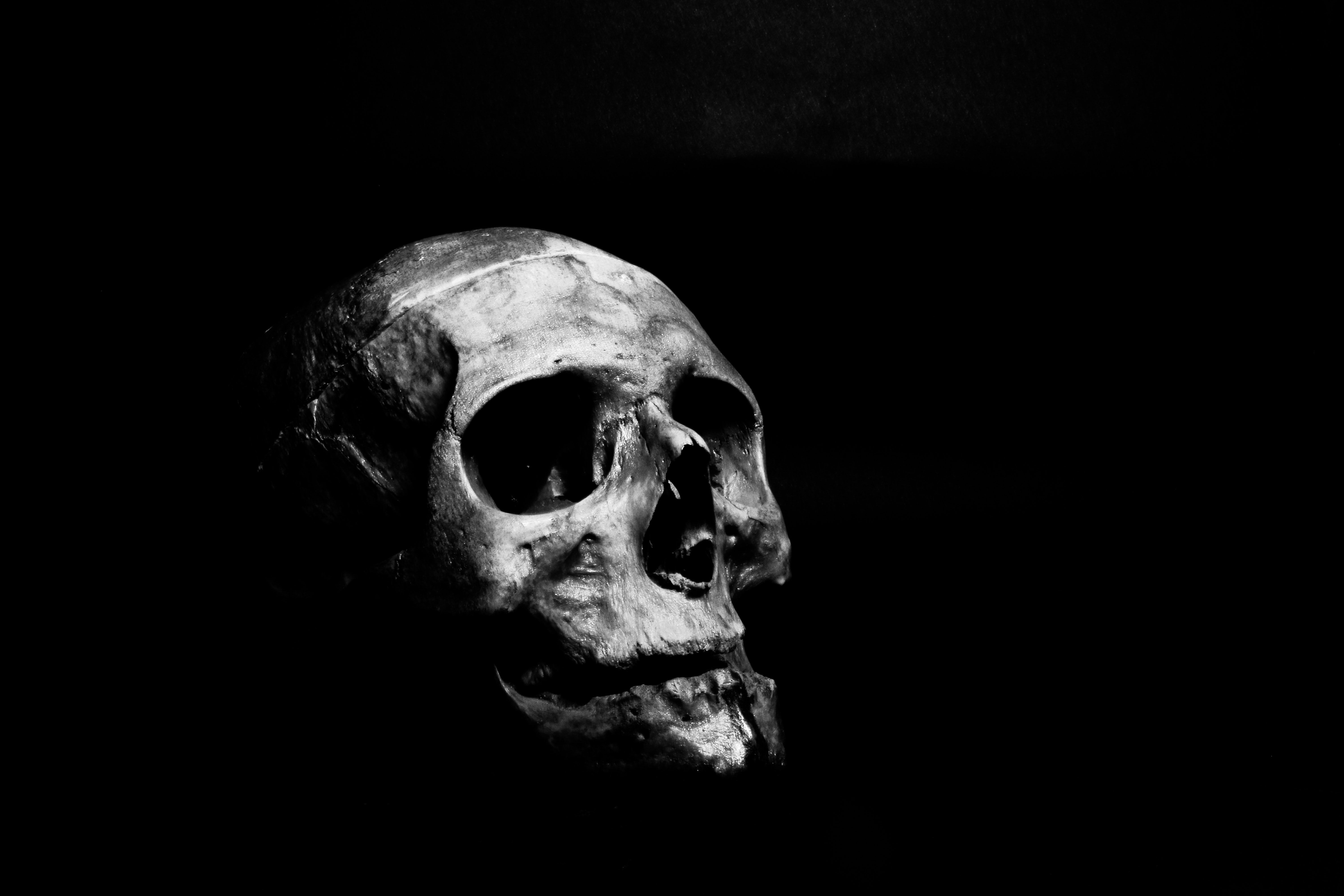 Grayscale Photography of Human Skull · Free