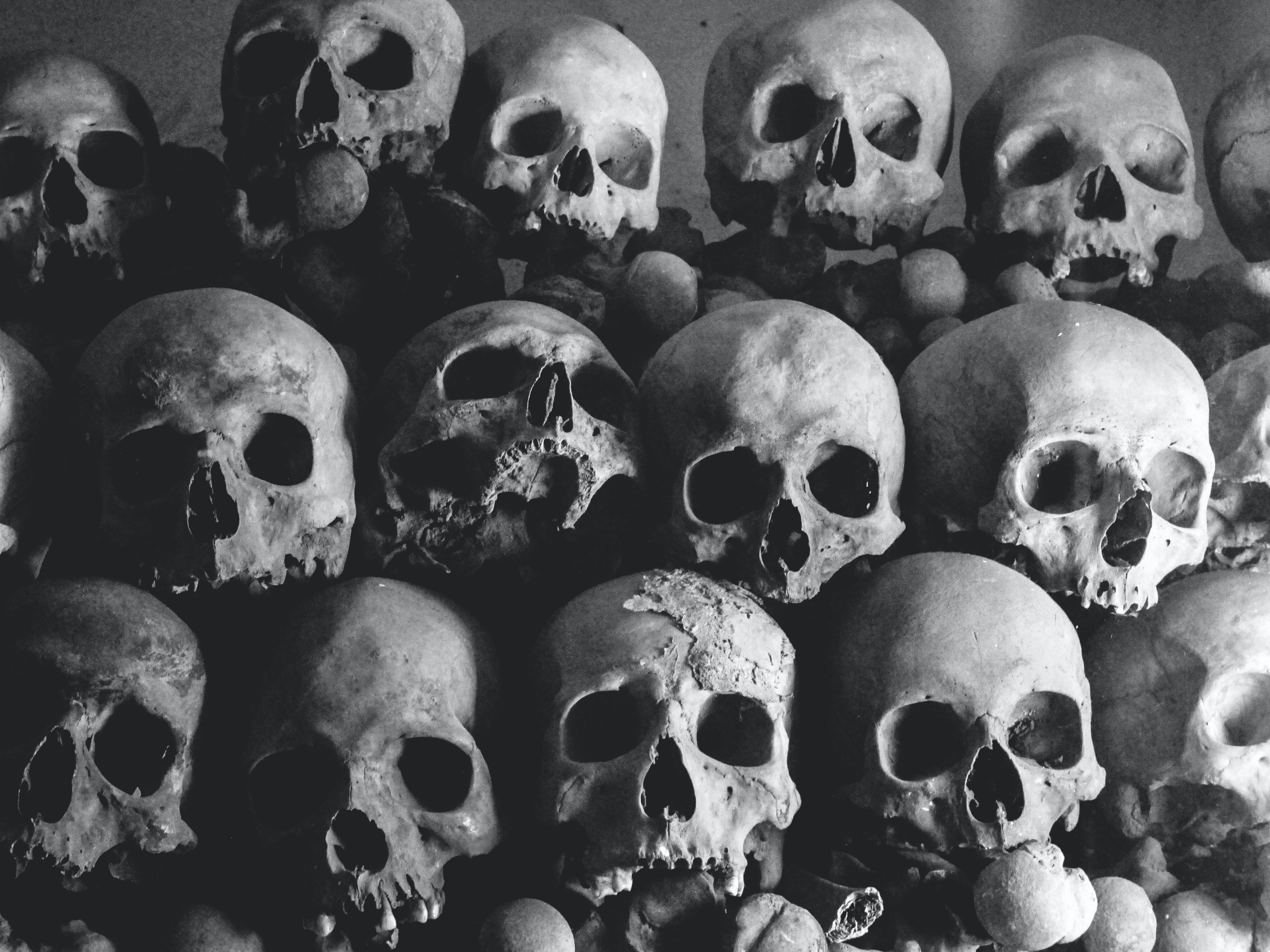 Pile Of Human Skulls · Free