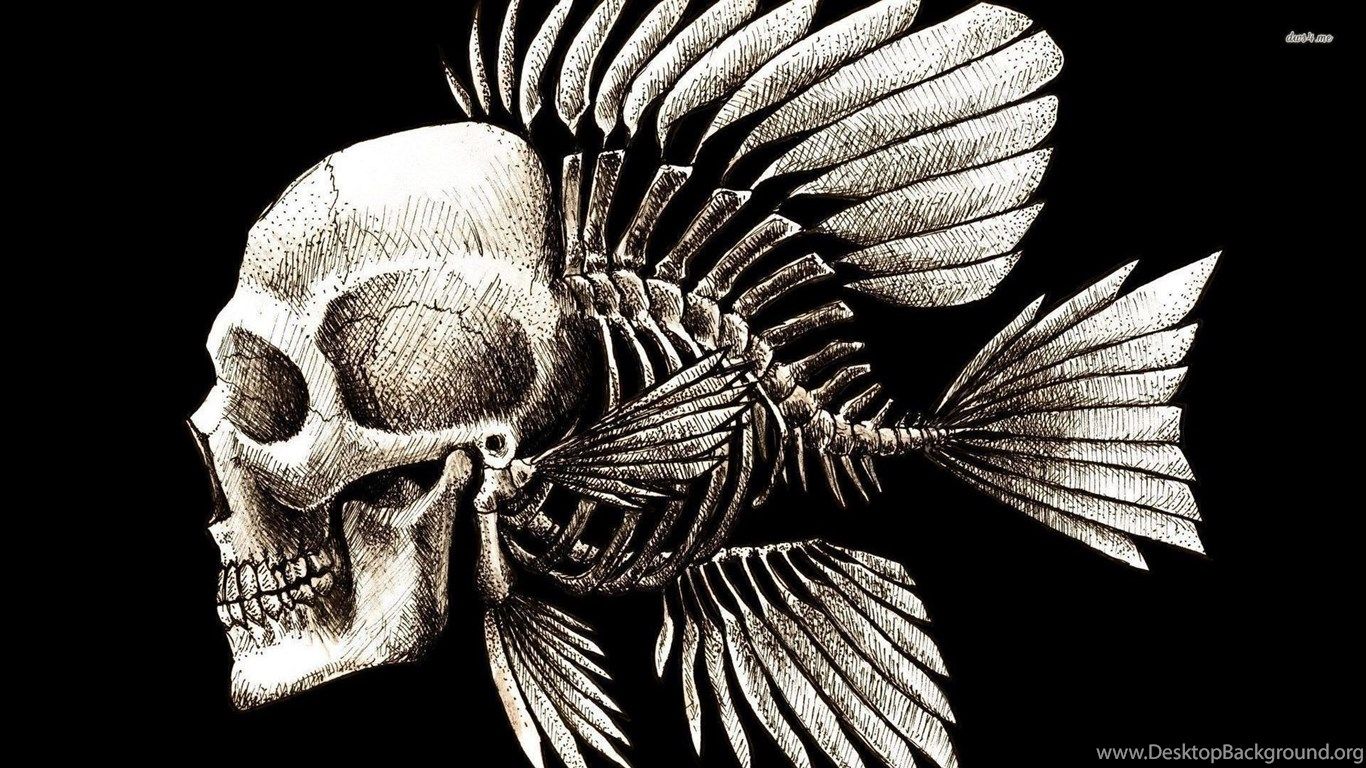 Human Skull With Fish Skeleton Wallpaper Digital Art Wallpaper. Desktop Background
