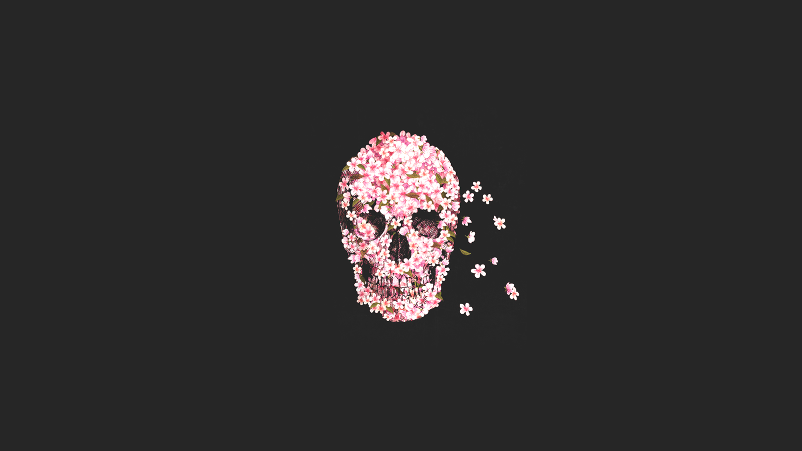 skull minimalistic. Flower skull, Skull wallpaper, Pink wallpaper iphone