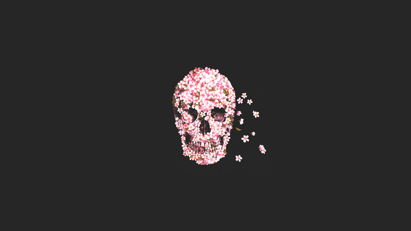 Aesthetic Skull Desktop Wallpapers - Wallpaper Cave