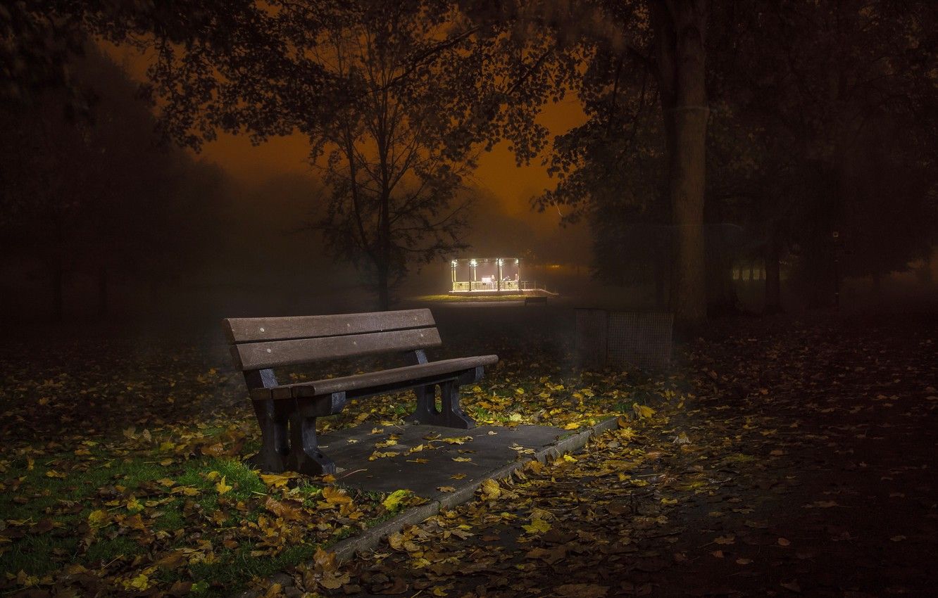 Wallpaper autumn, night, the city, street, bench image for desktop, section город
