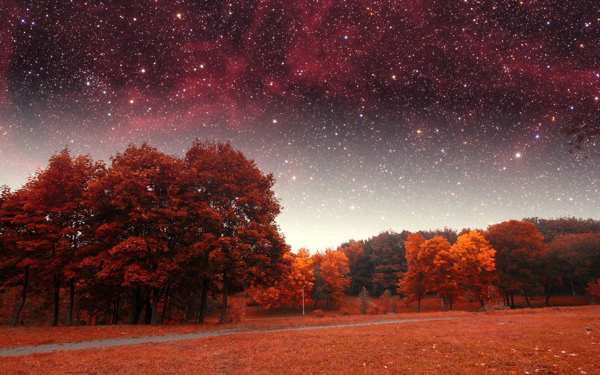 #fall, #stars, #sky, #trees, wallpaper