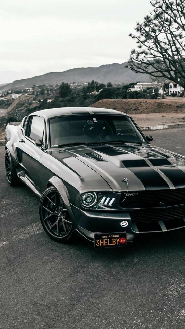 Shelby Car HD Wallpaper 4K for Lock Screen iPhone. Carros de luxo, Carros e caminhões, Quadros de carros