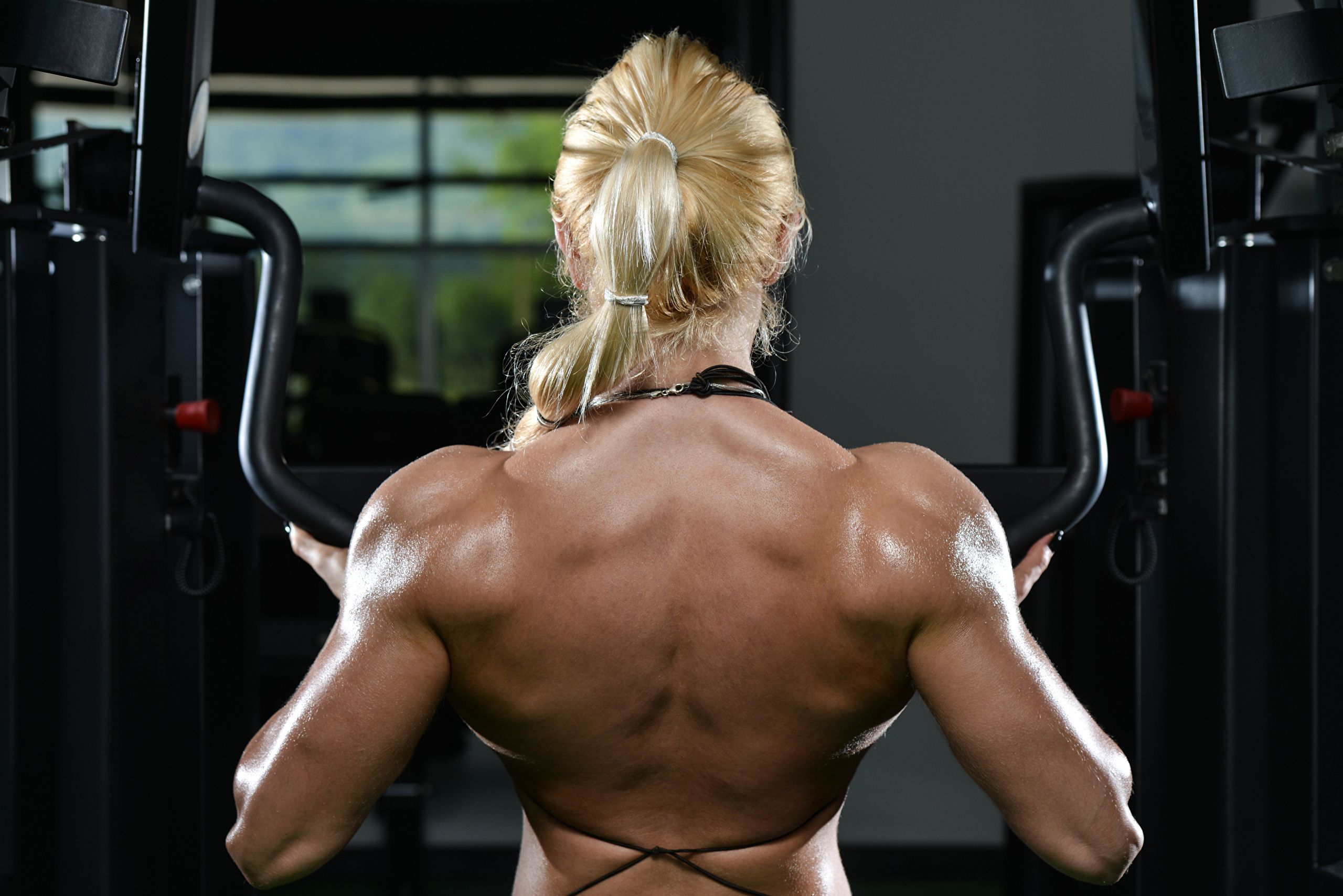 Photo Human back athletic young woman Bodybuilding 2560x1708