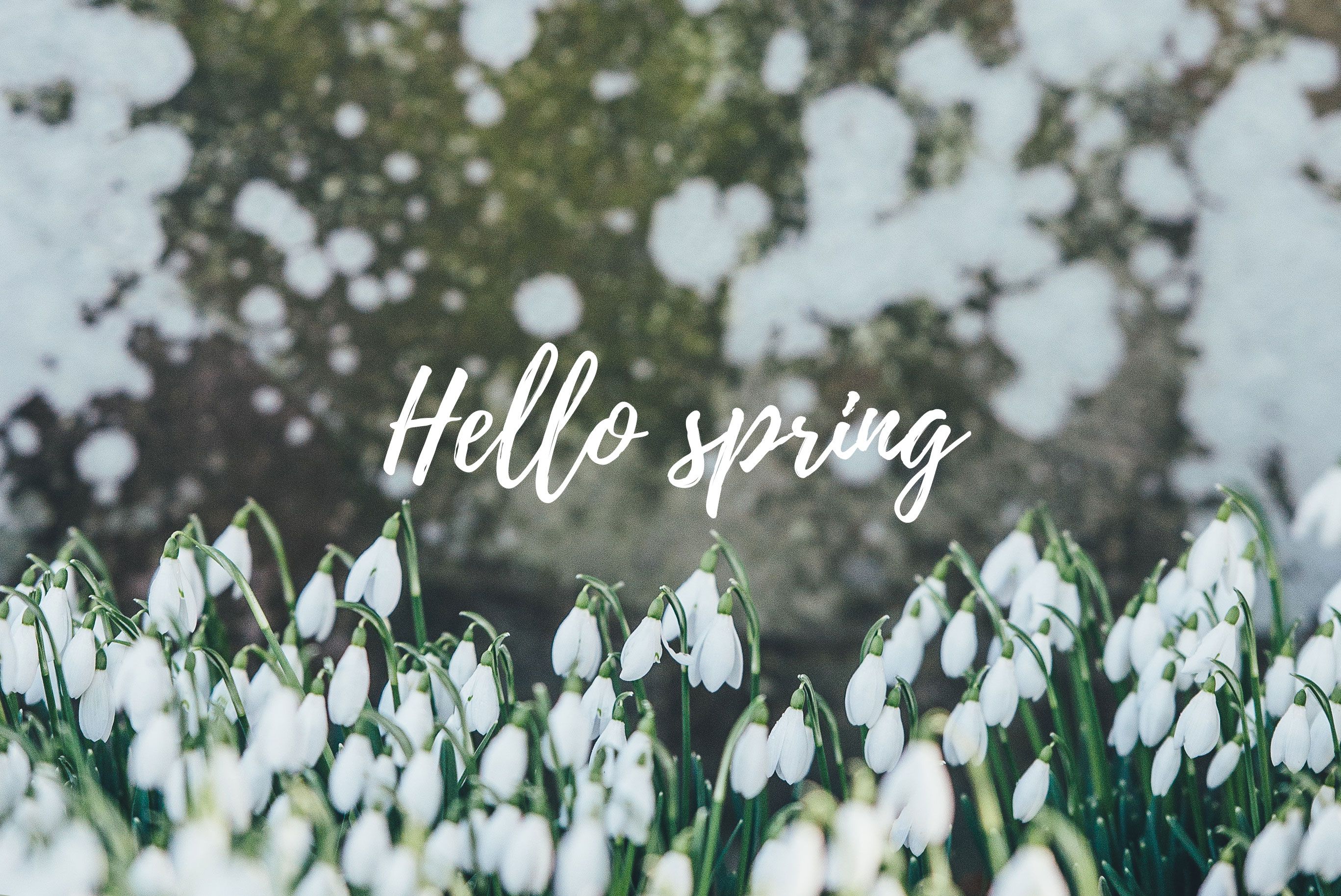 Free Spring Desktop Image. Sonrisa Studio. Spring wallpaper, Spring desktop wallpaper, Hello spring wallpaper