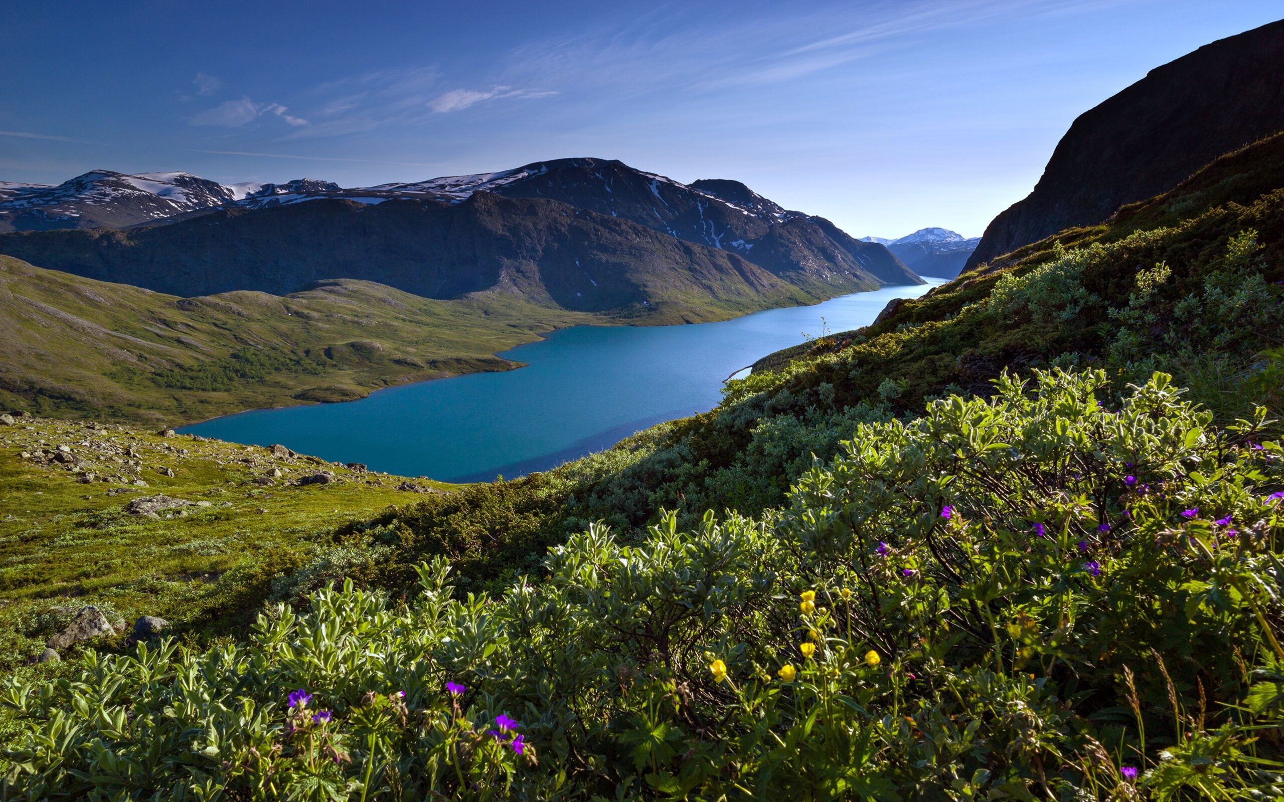 Norway, Lakes, Landscapes, Forest, Mountains, Trees, Flowers, Grass, Green, Snow, Spring