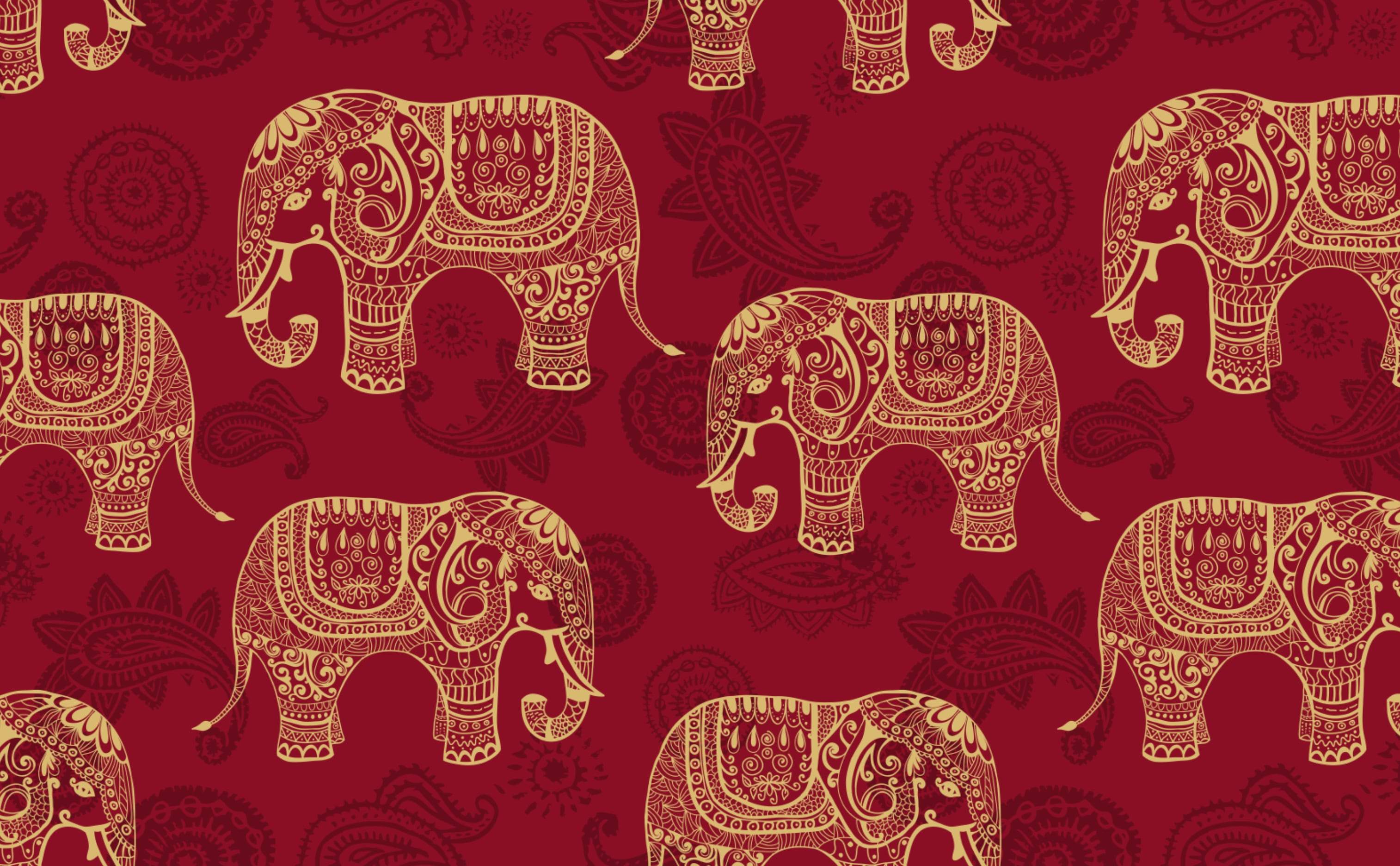 Indian Elephants Wallpaper for Walls