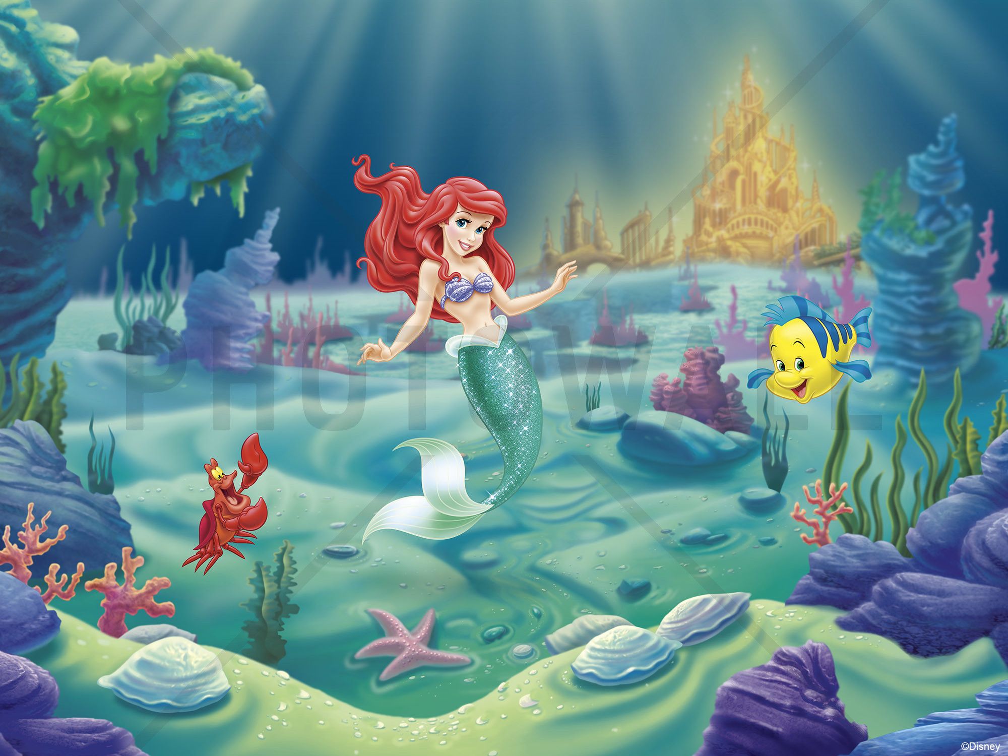 Wallpaper Princess Ariel background picture