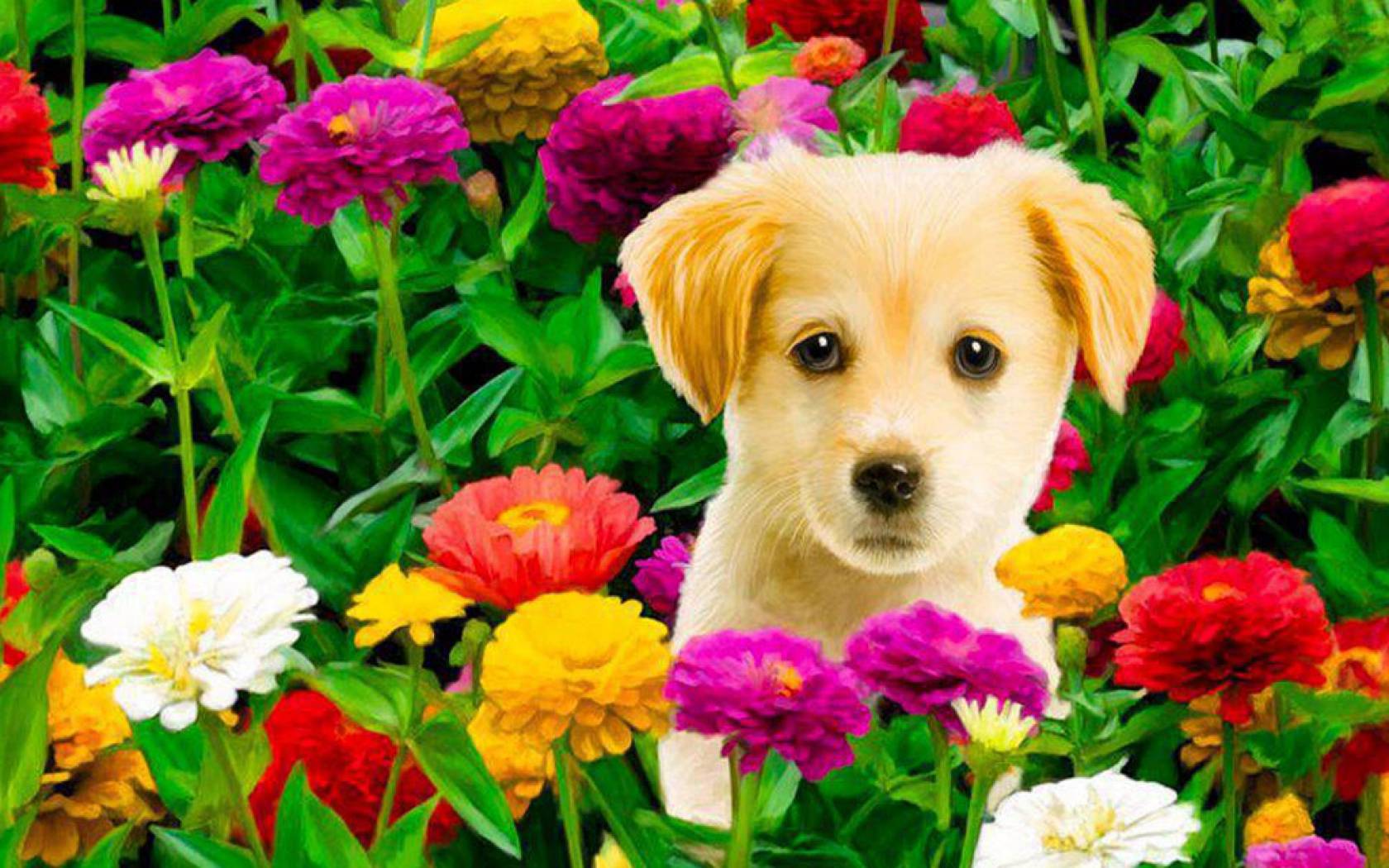 Dogs With Flowers Wallpapers - Wallpaper Cave