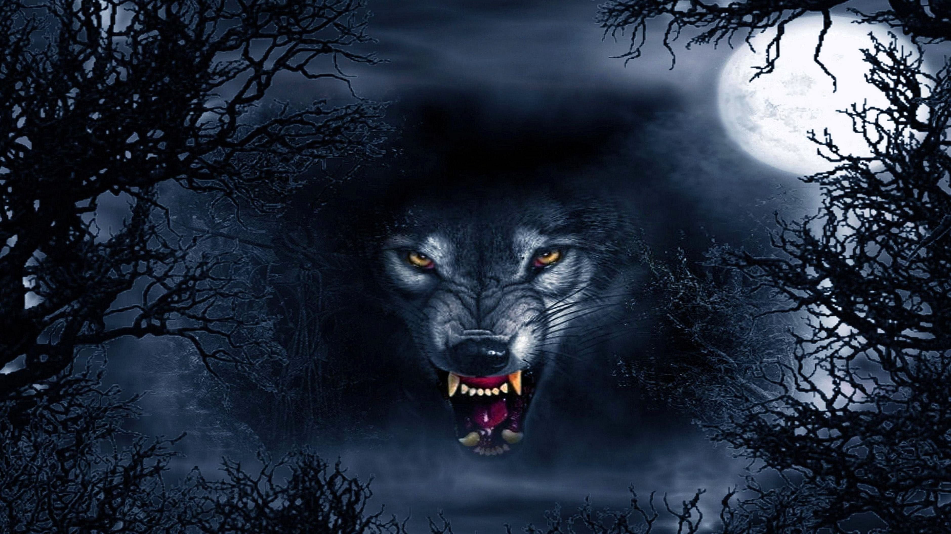 Scary Wolf Wallpaper HD