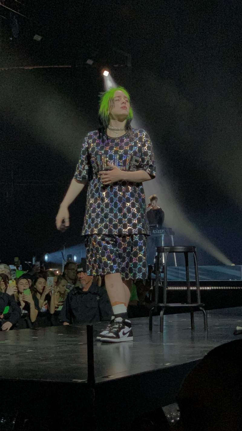Billie Eilish Concert & Tour Photo