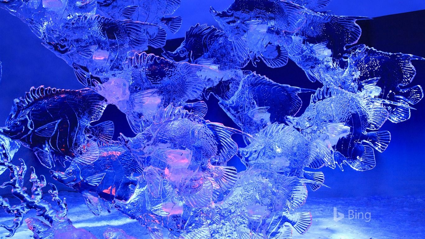 Ottawa Ice Sculpture Of Fish Confederation Park 2017 Bing Desktop Wallpaper