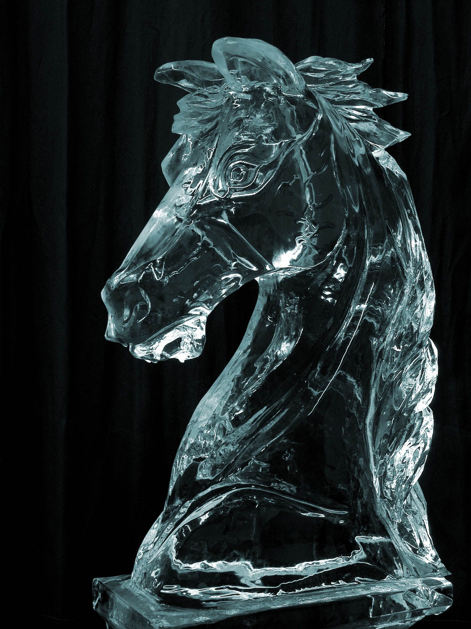3D Horse Ice Sculpture. Ice sculptures, Ice art, Sculptures
