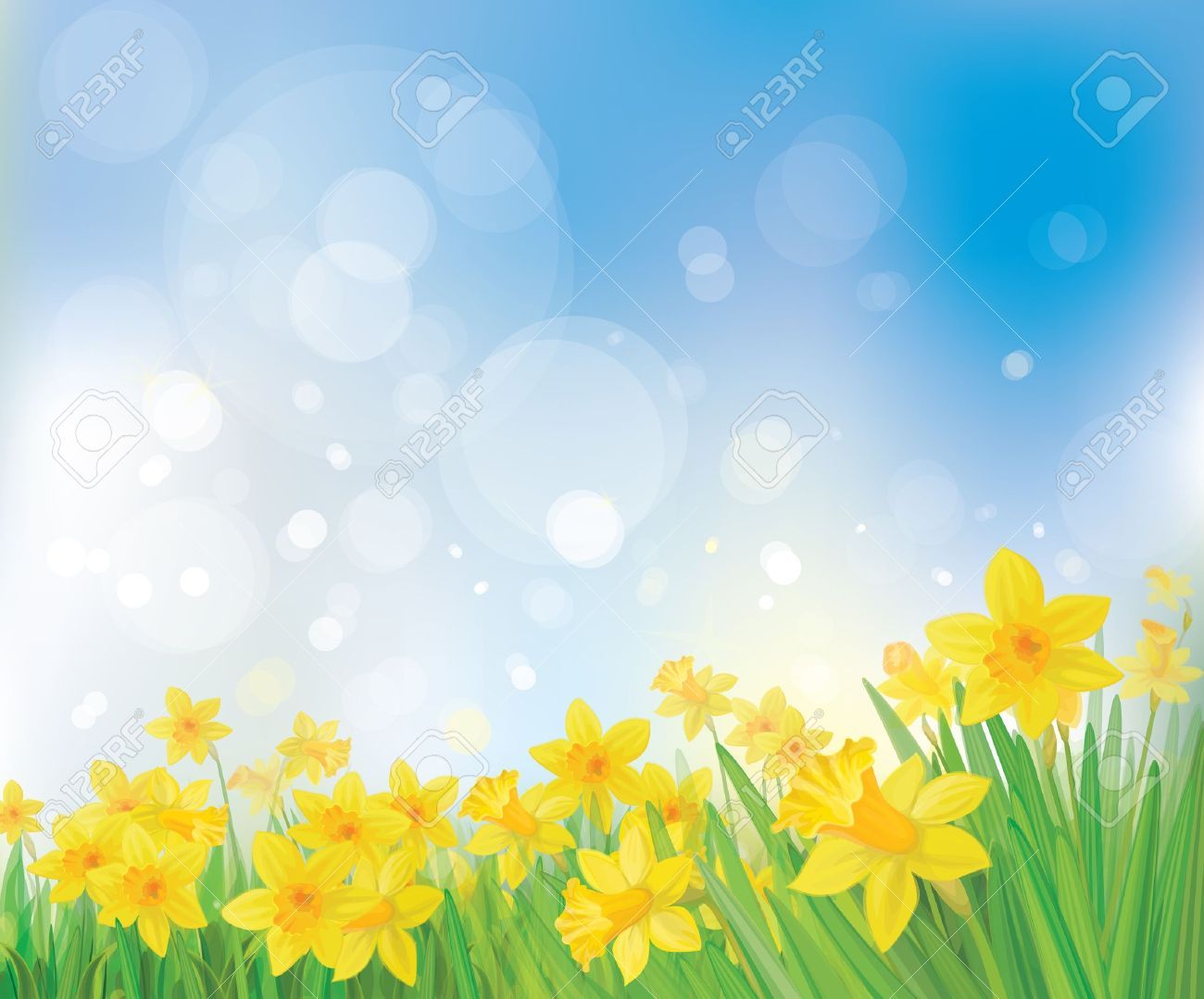 Free download Vector Of Daffodil Flowers On Spring Background Royalty [1300x1079] for your Desktop, Mobile & Tablet. Explore Free Spring Background. Spring Desktop Wallpaper Free, Free Spring Computer Wallpaper