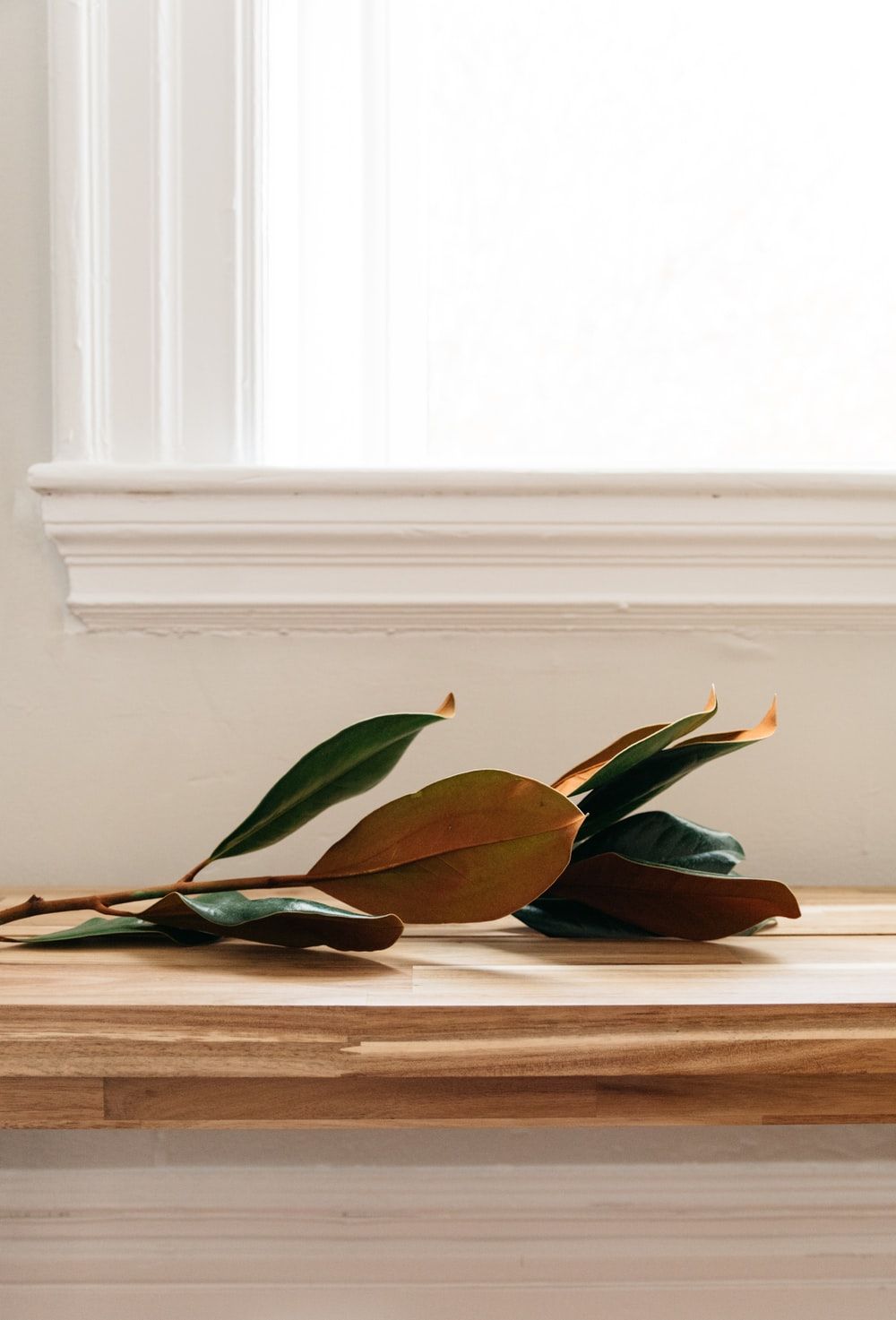 Earth Tone Picture. Download Free Image