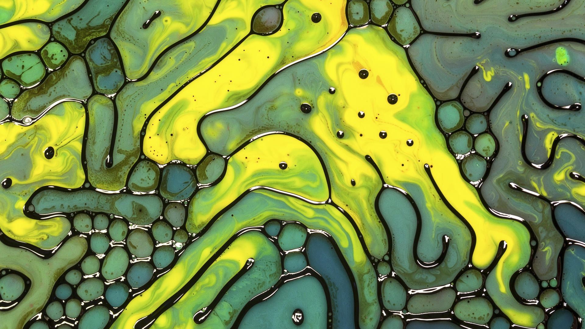 Beautiful Oil Bubble Windows 10 HD Wallpaper