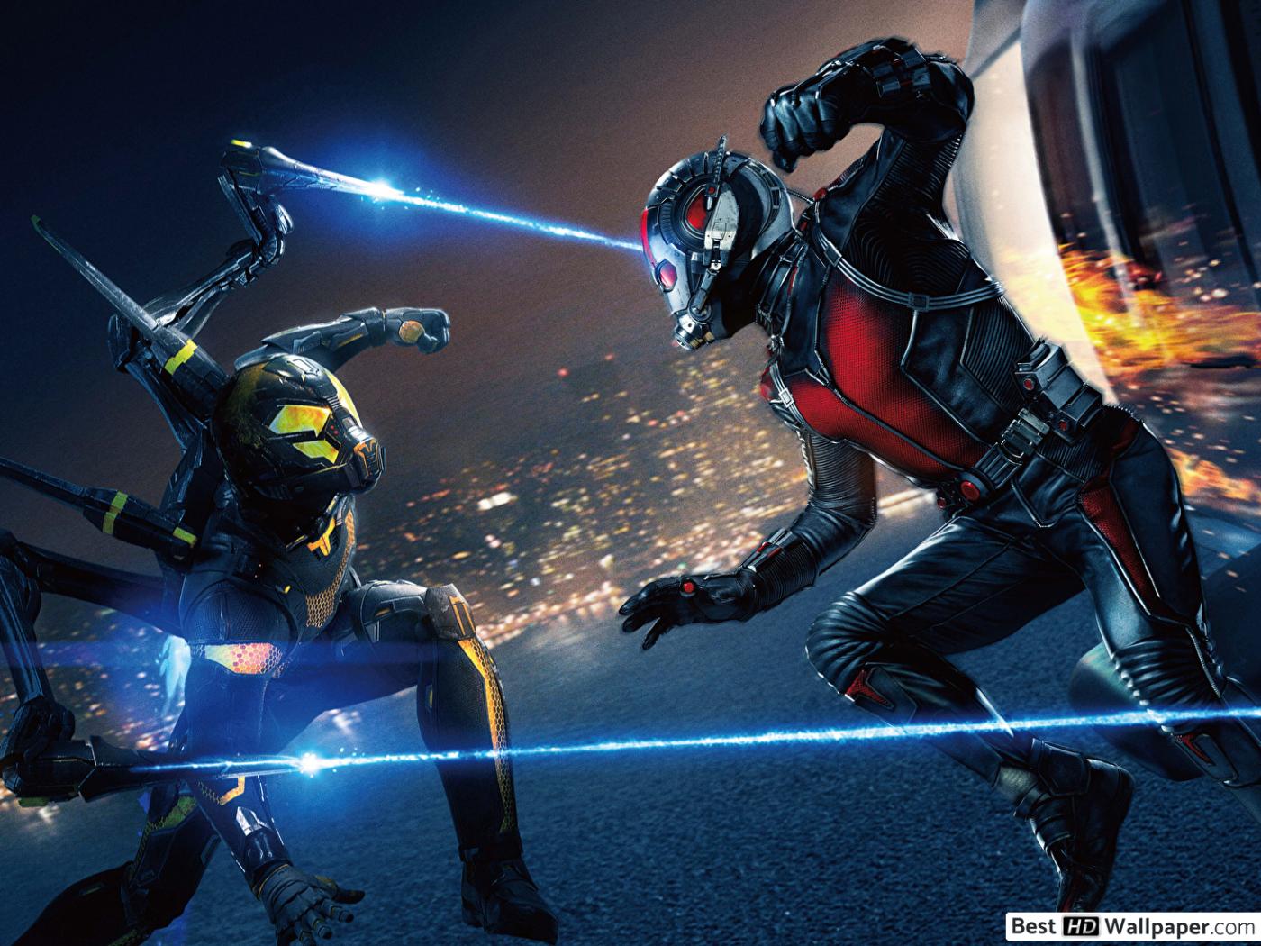 Ant Man Movie Vs Ant Man HD Wallpaper Download