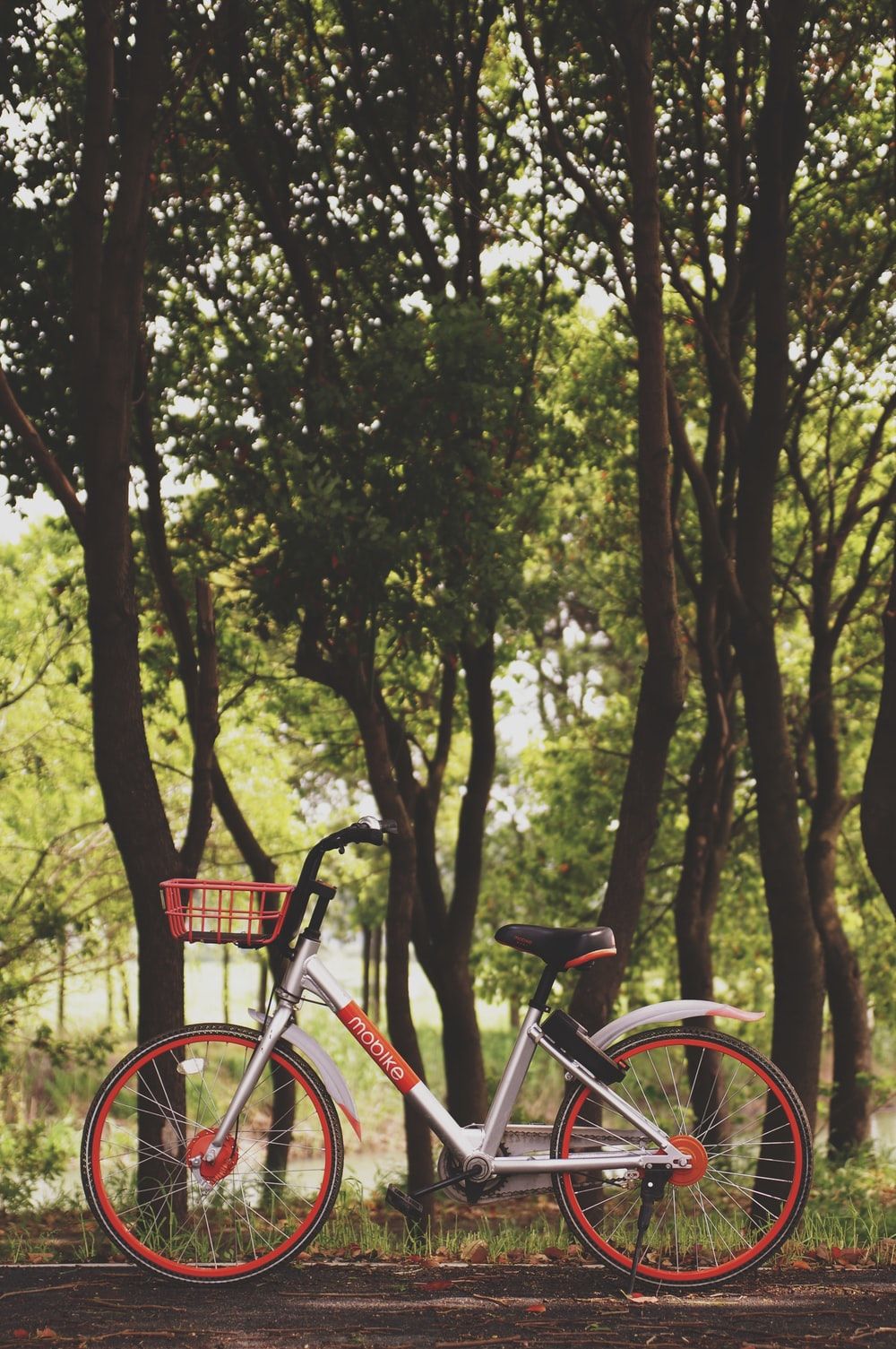 Cycle Picture. Download Free Image