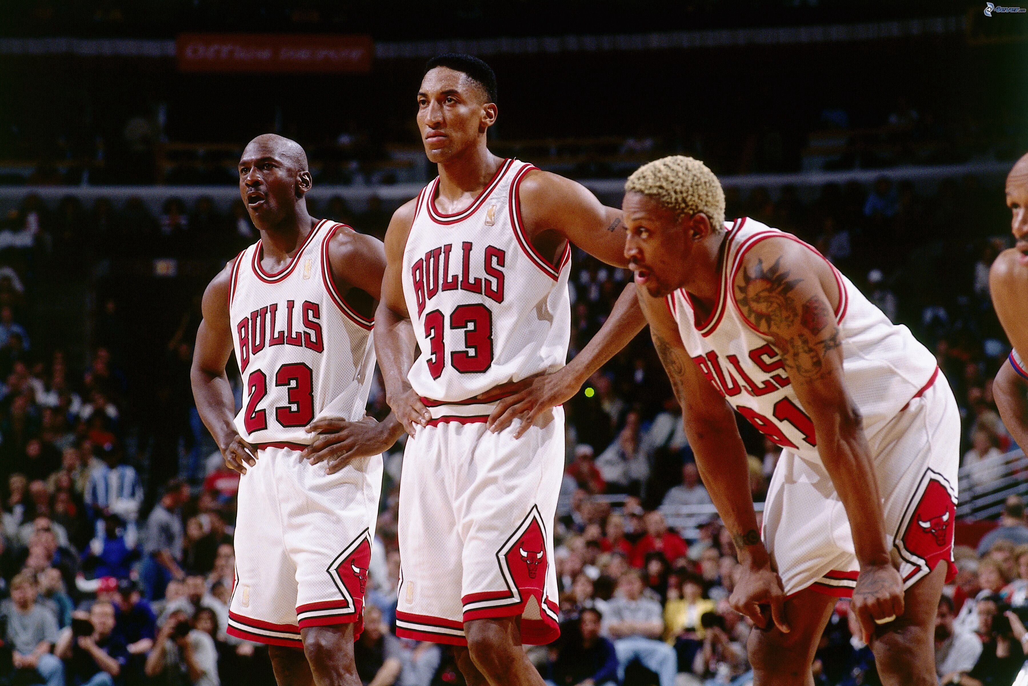 Dennis Rodman Michael Jordan Wallpaper:3598x2400