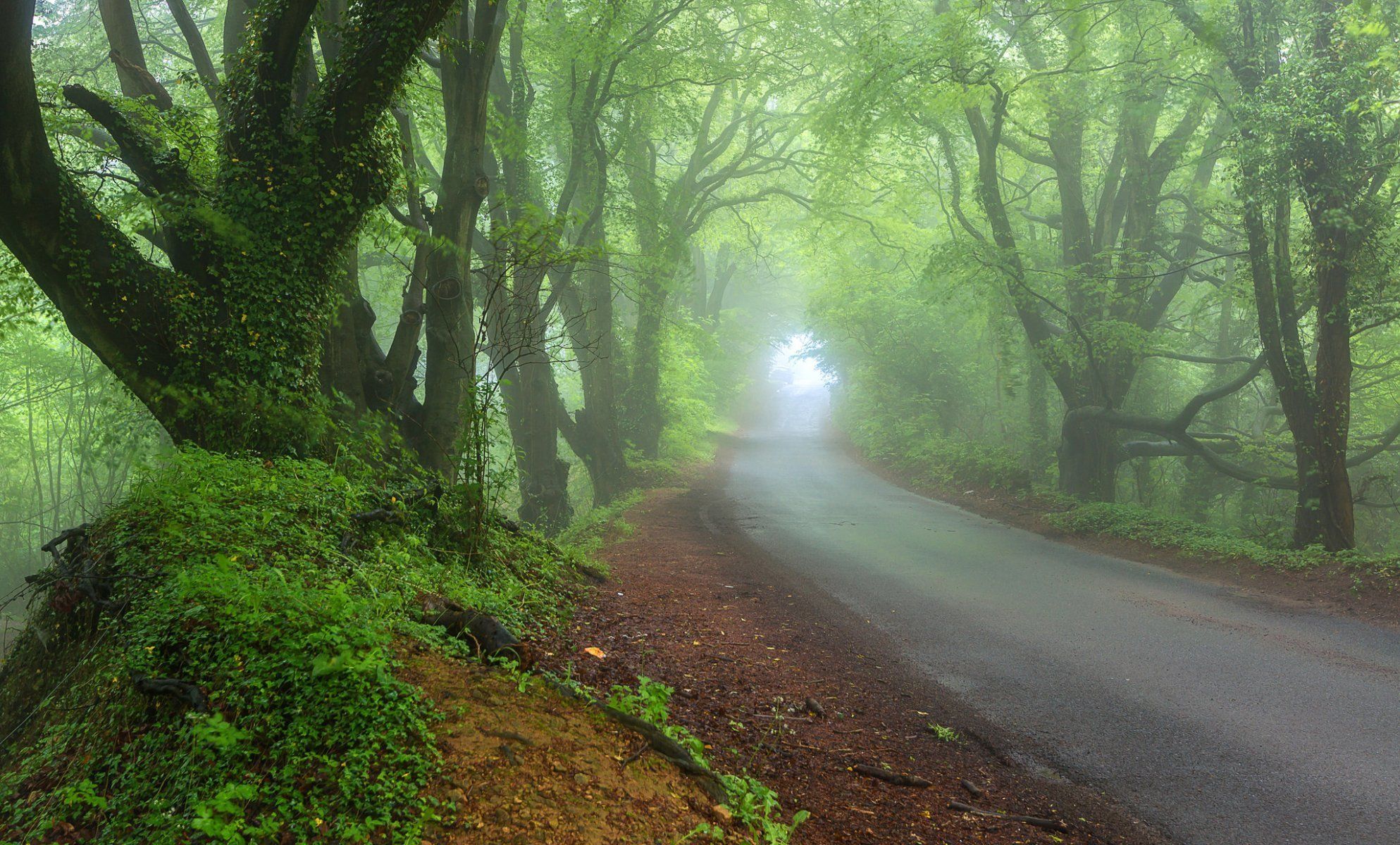Morning Haze Wallpapers - Wallpaper Cave