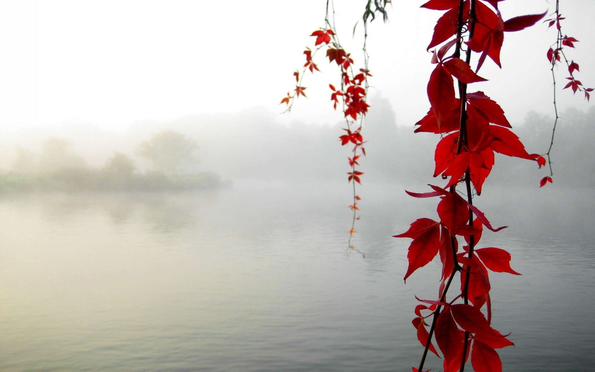 Morning Haze Wallpapers - Wallpaper Cave