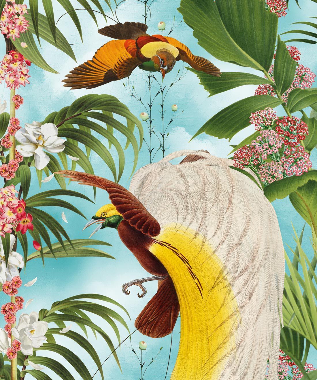 Tropical Bird Wallpaper • Bold, Bright & Very Tropical