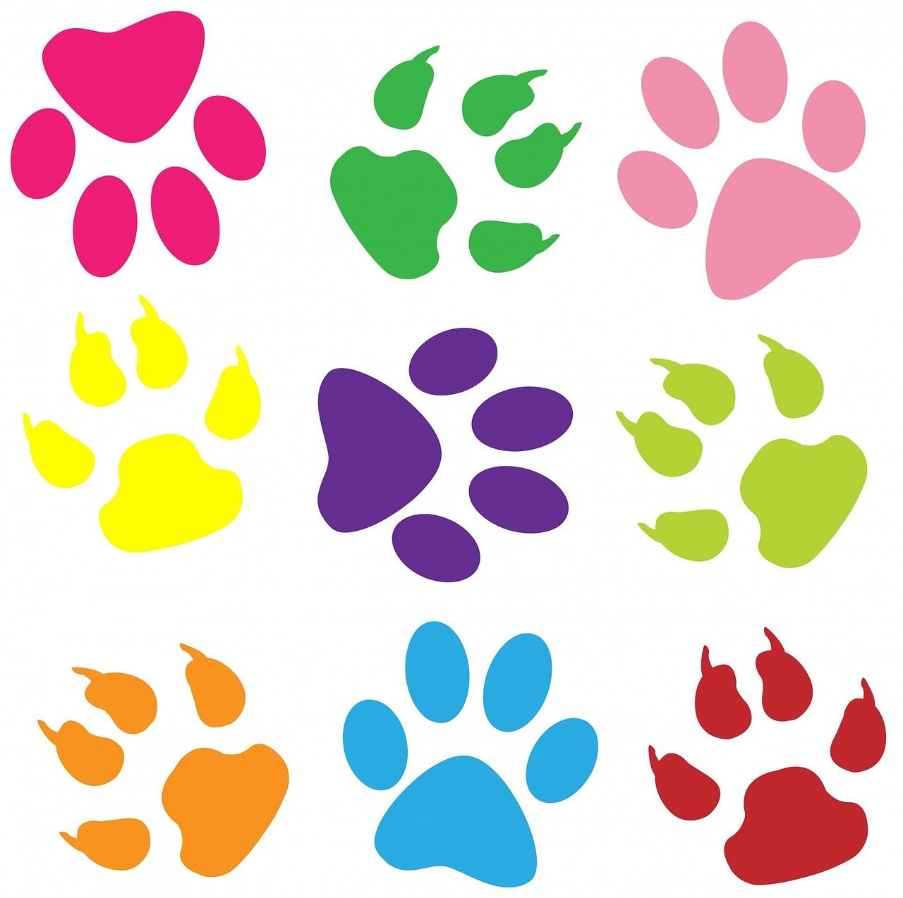 Paw Print Prints Wallpaper