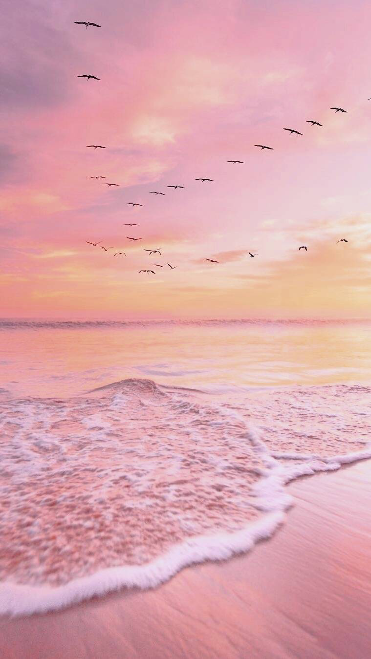Wallpaper Pink Ocean Beautiful Sunset