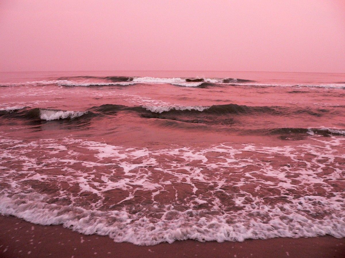 Pink Ocean Sunset