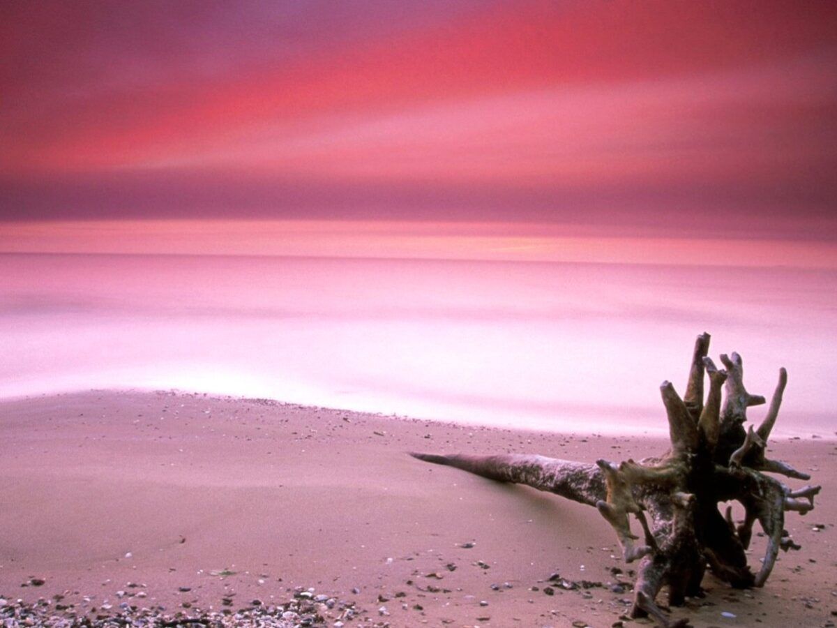 Pink, Beach, HD Sea Wallpaper, Sand, Ocean, Sky, Fresh Air, Amazing Beach, Vacation, Swimming, 1203x902