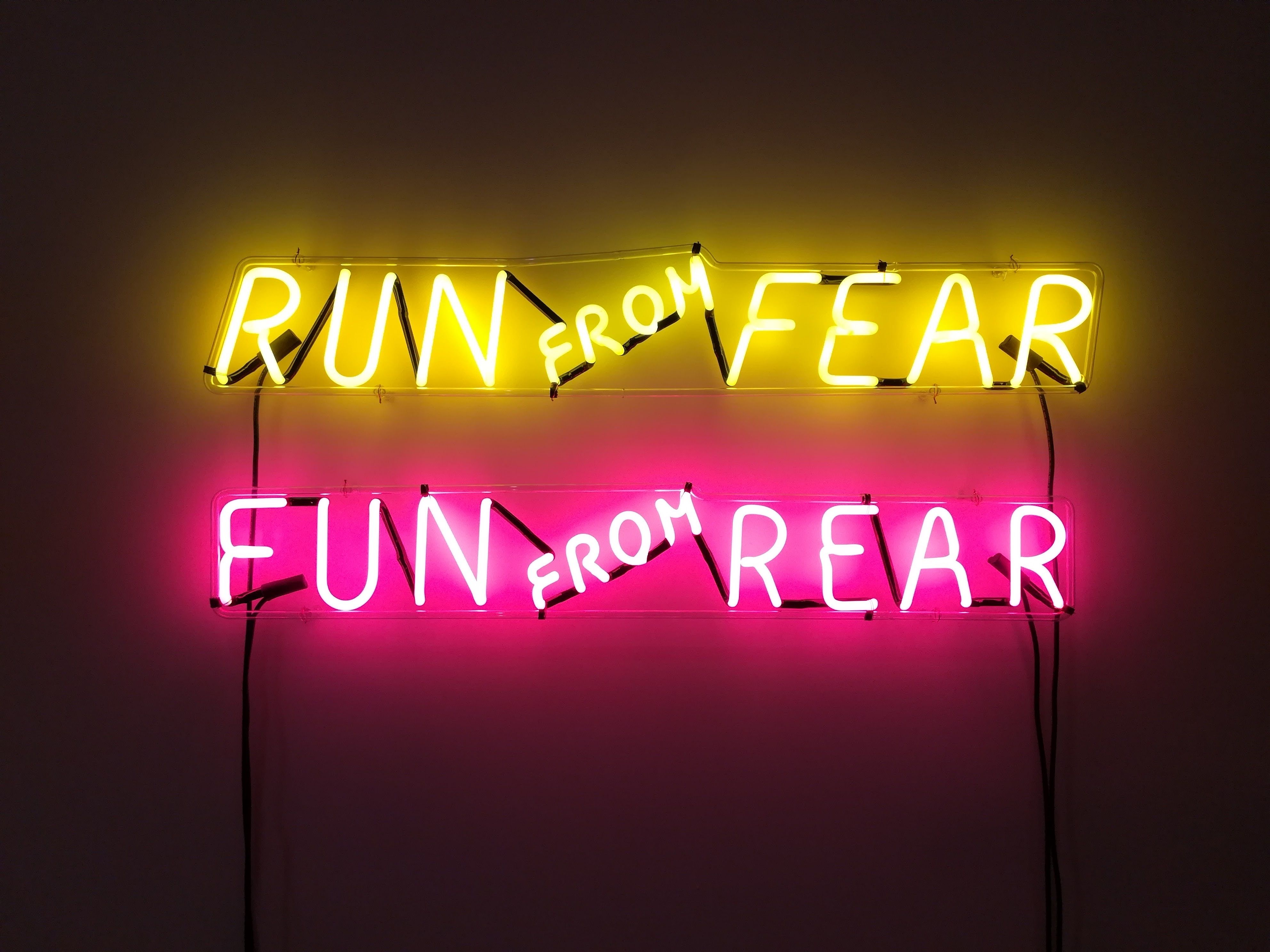 3968x2976 #text, #fun, #real, #wall sign, #rear, #yellow neon, #funny wallpaper, #type, #pink neon, #yellow, #run, #wall art, #typography, #PNG image, #fear, #neon sign, #pink, #sign, #funny background, #neon light, #wallpaper