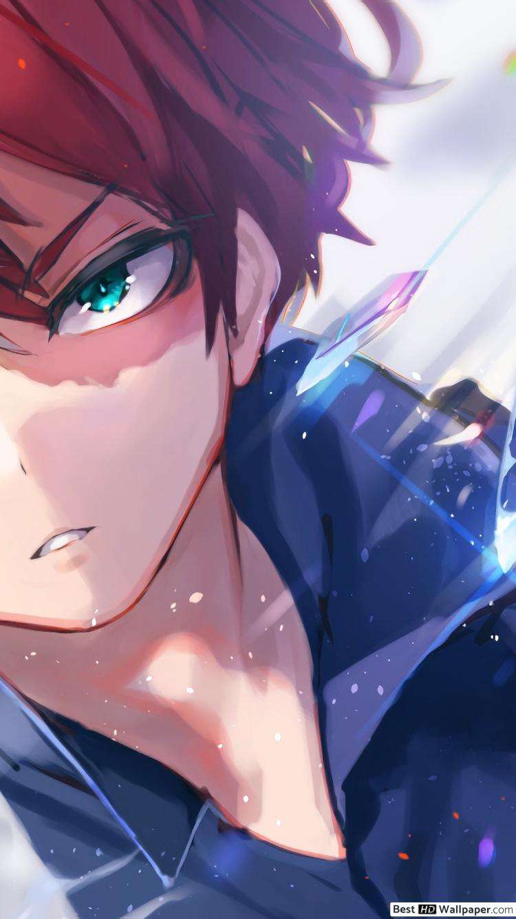 Wallpaper Android Shoto Todoroki